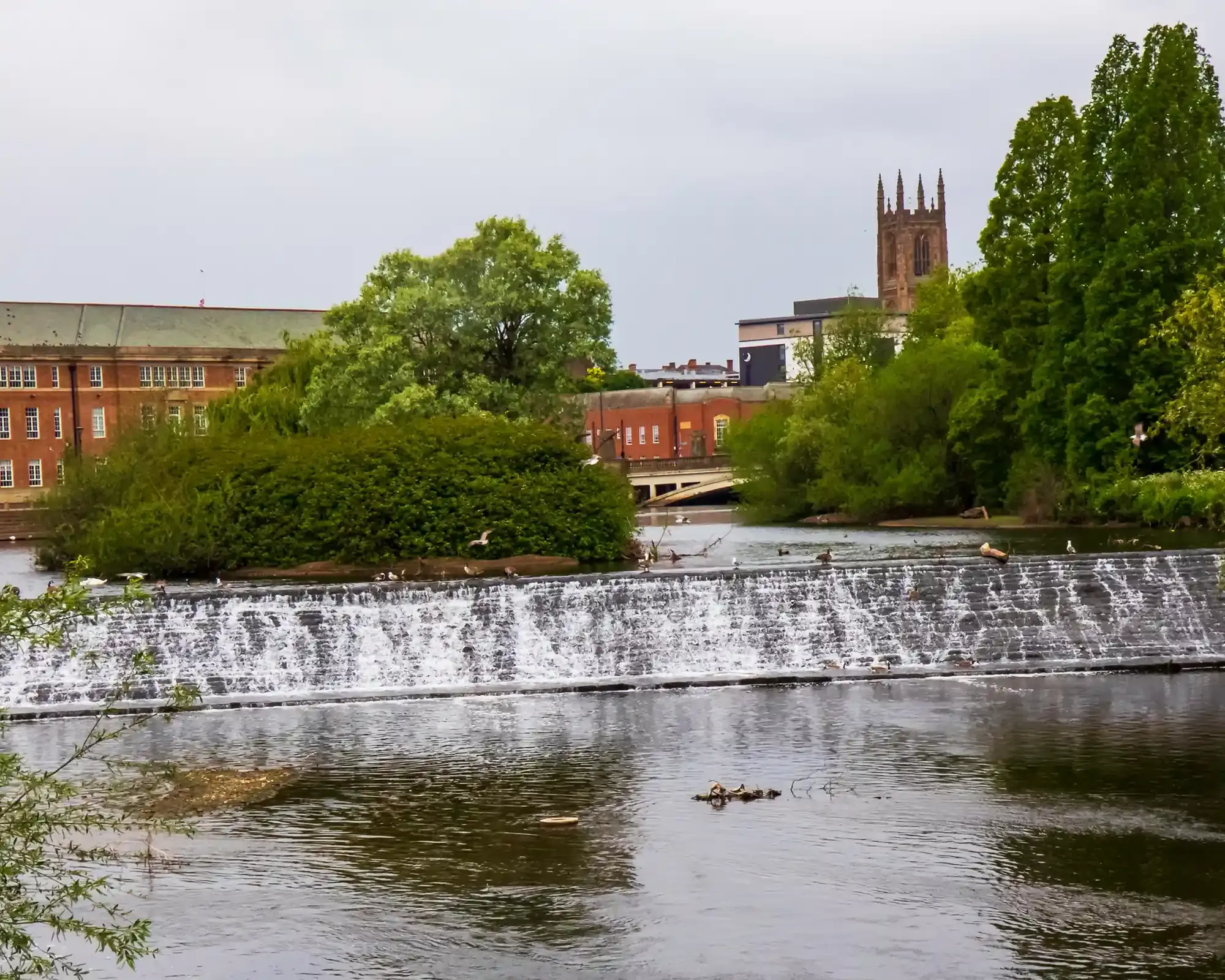 The weir on the River Derwent in Derby, with the Council House and Derby Cathedral’s tower behind it.